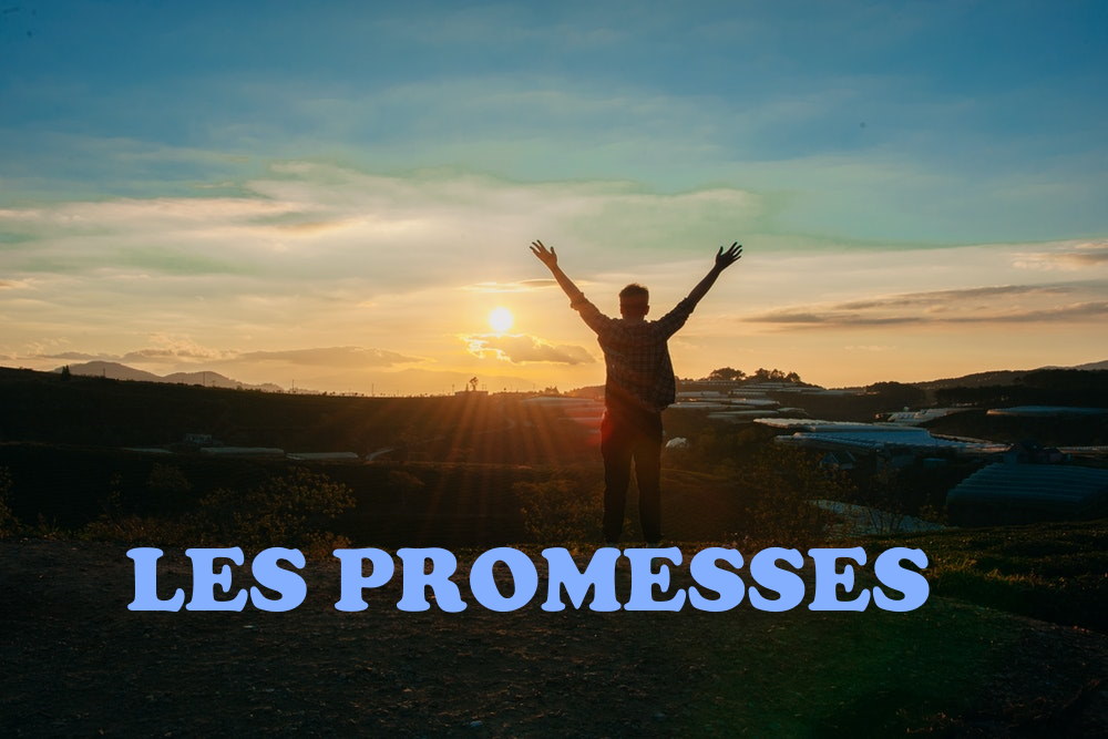 Les Promesses !
